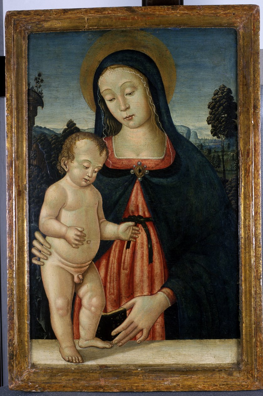Madonna ve Çocuk, c.1500 (kavak ağacı üzerinde tempera) by Italian School
