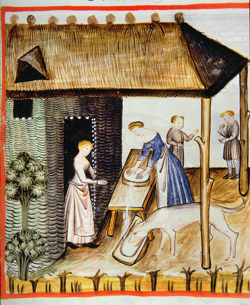 Nova 2644 fol.60r Tacuinum Sanitatis'ten taze peynir hazırlanması by Italian School