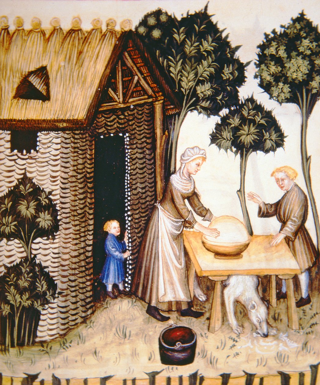 Nova 2644 fol.61r Tacuinum Sanitatis