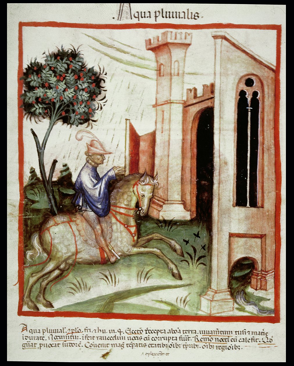 Nova 2644 fol.89v Rainwater, Tacuinum Sanitatis