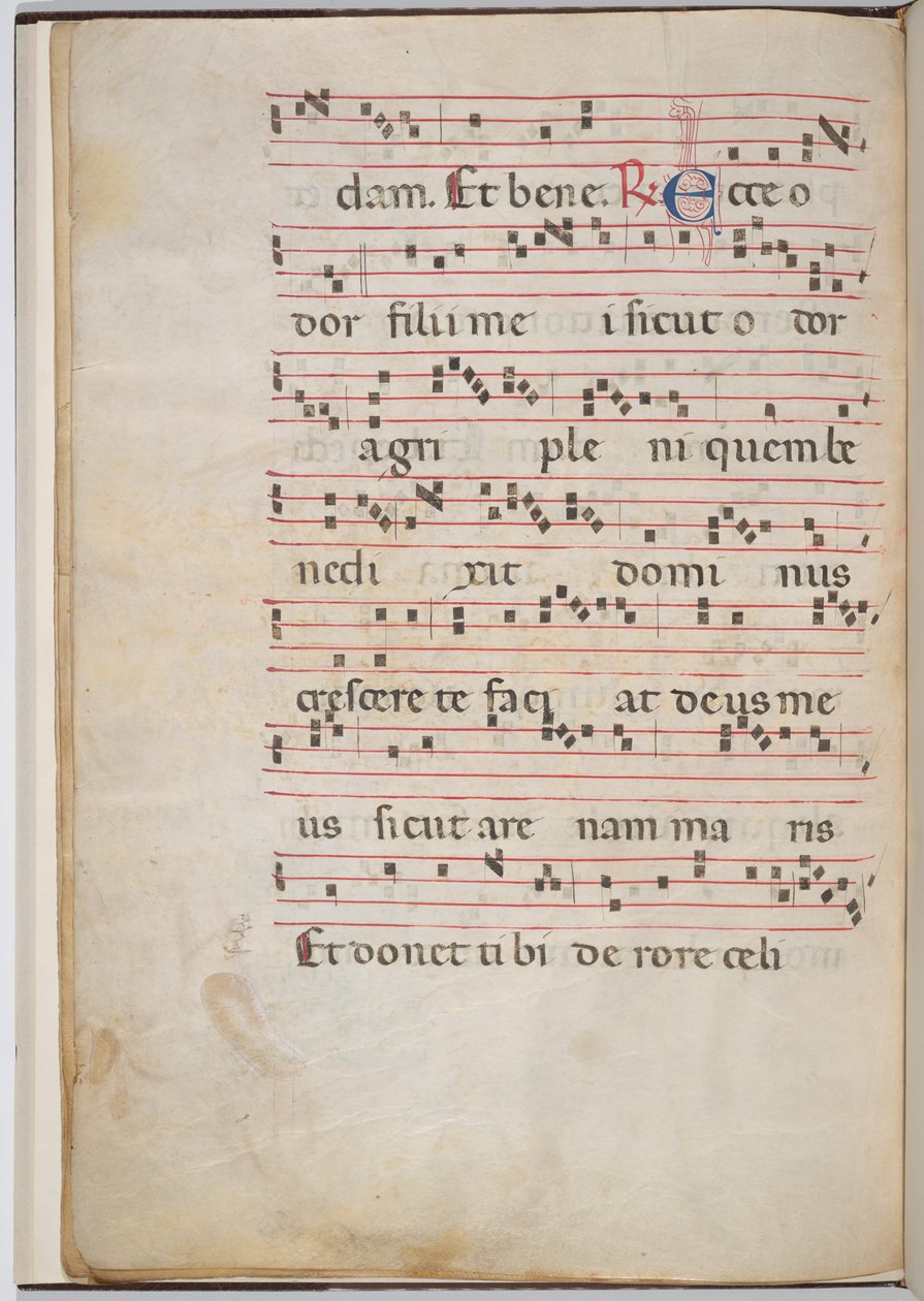 Bir antifonal parçadan yaprak 8 (verso) by Italian 13th Century