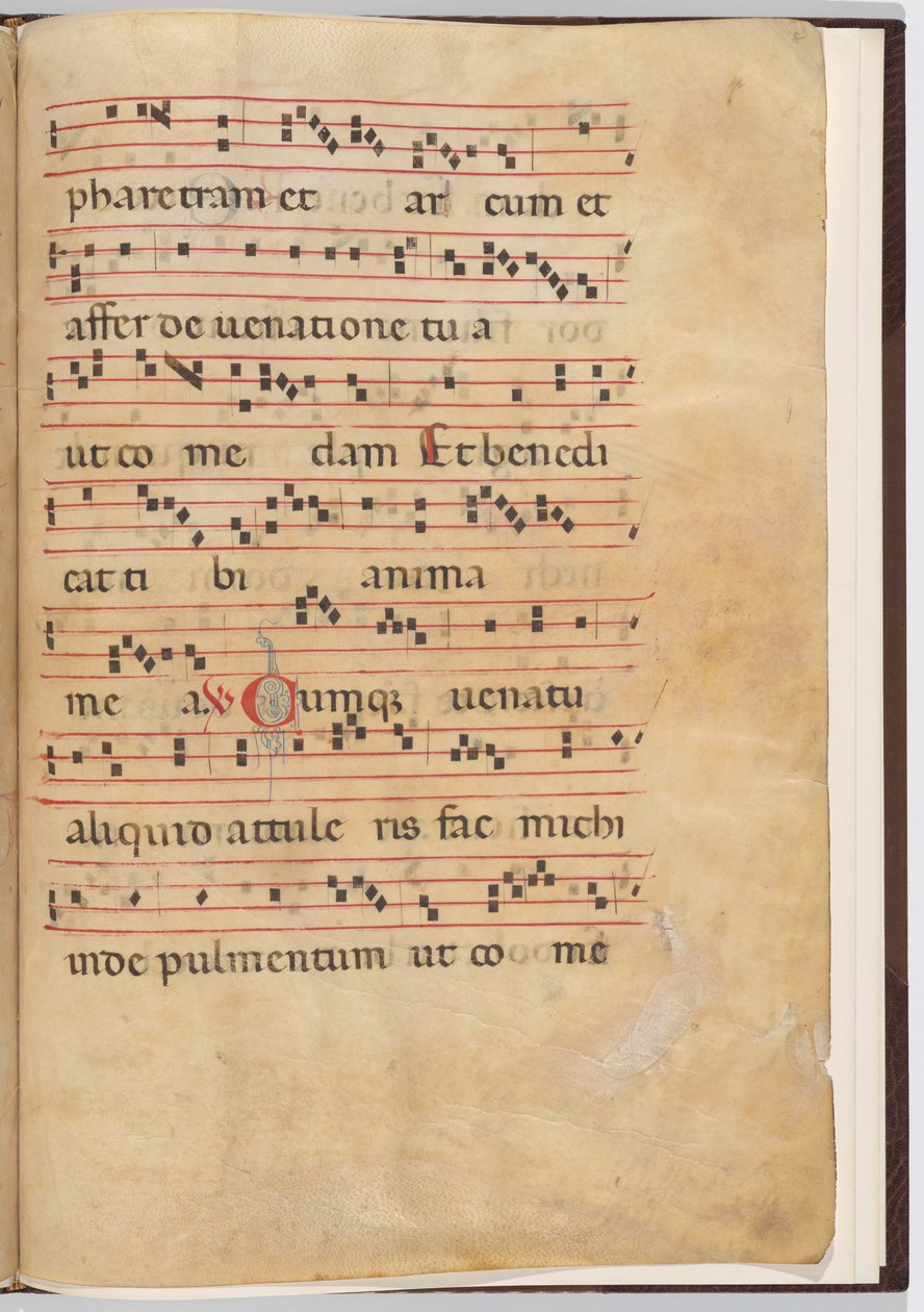 Bir antifonal parçadan yaprak 8 by Italian 13th Century