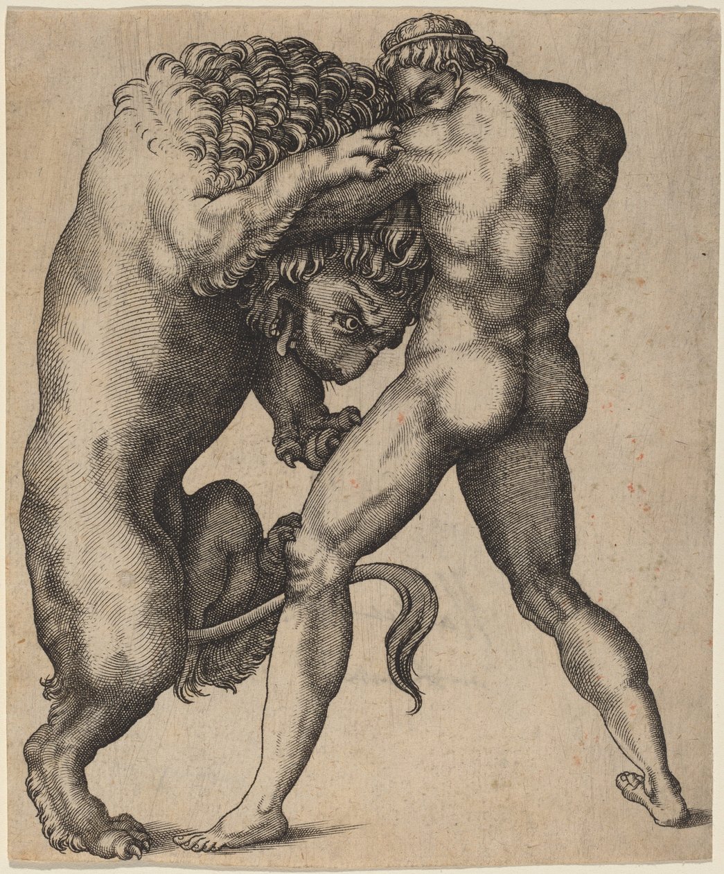 Herkül ve Nemea Aslanı by Italian 16th Century