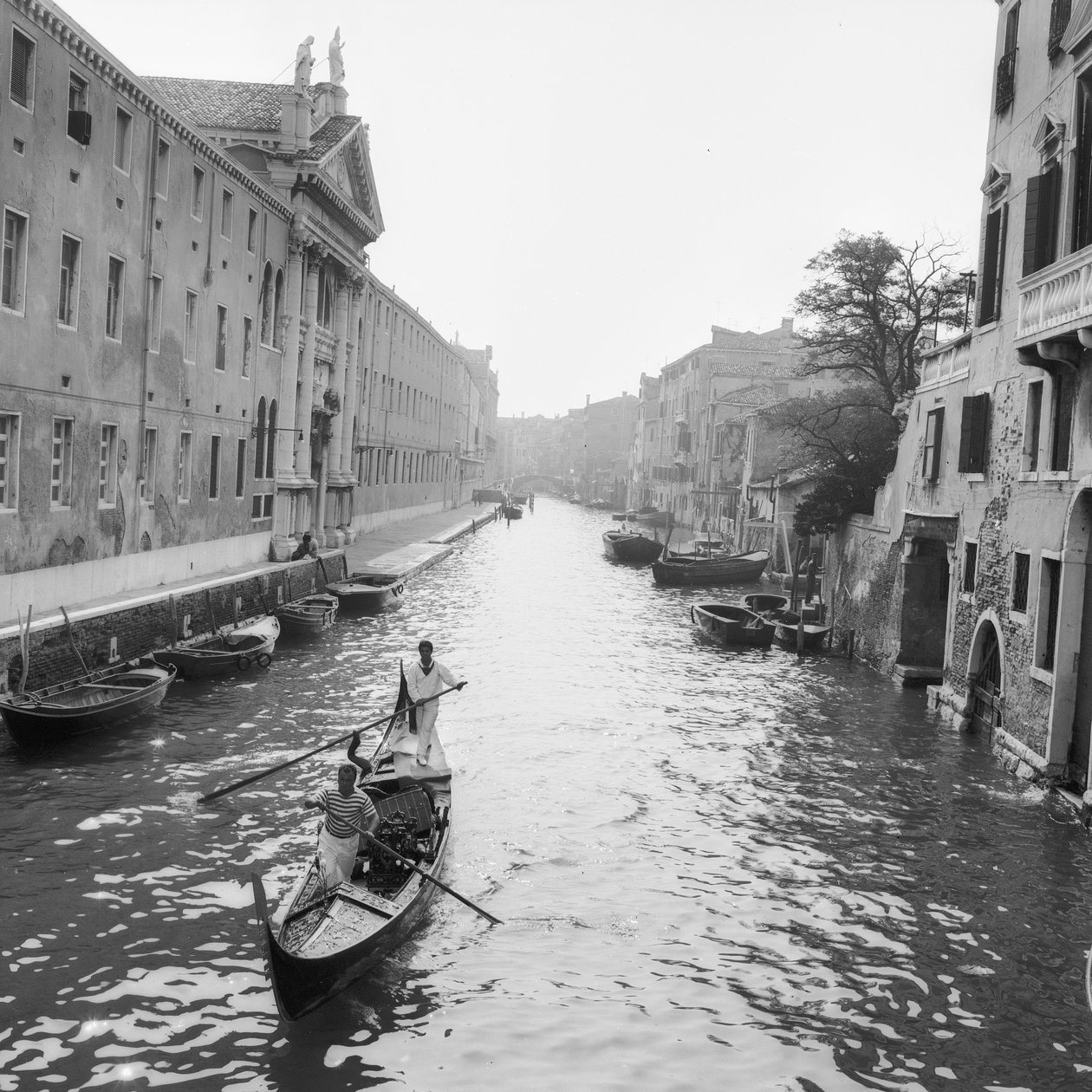 Venedik