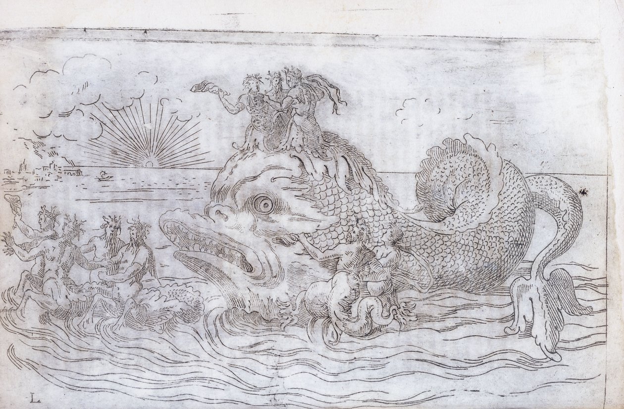 Fantastik Bir Balık Arabası, 1579 by Italian School