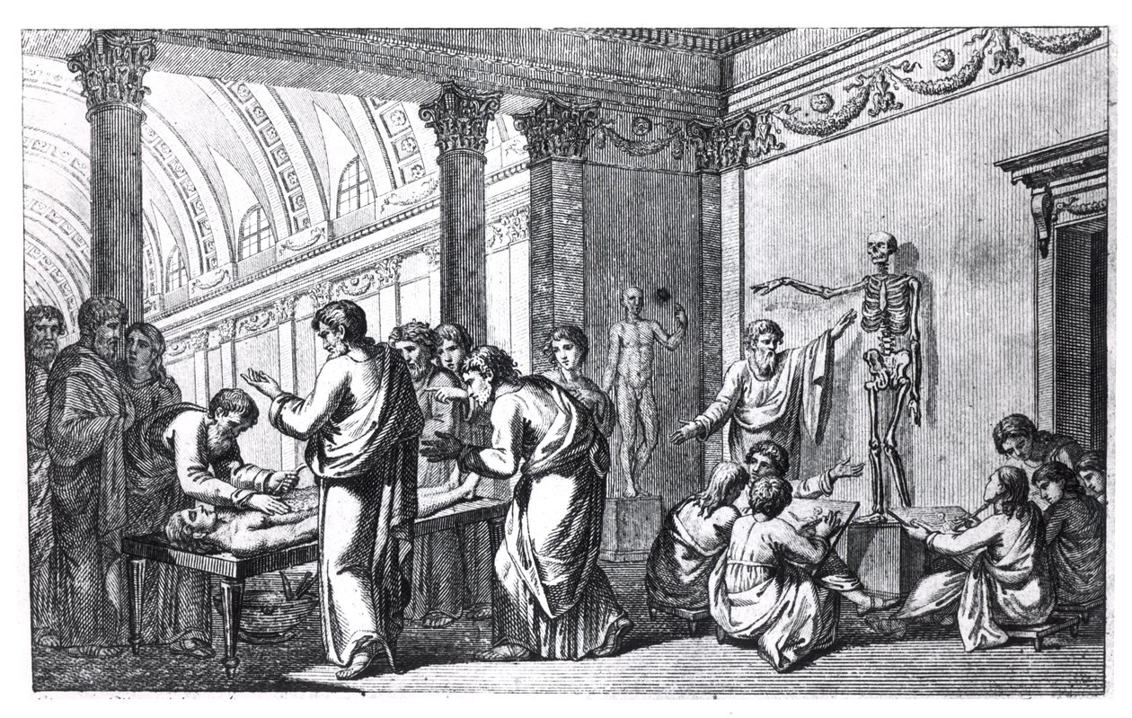 Antik Çağda Anatomi Okulu, Tabulae Anatomicae