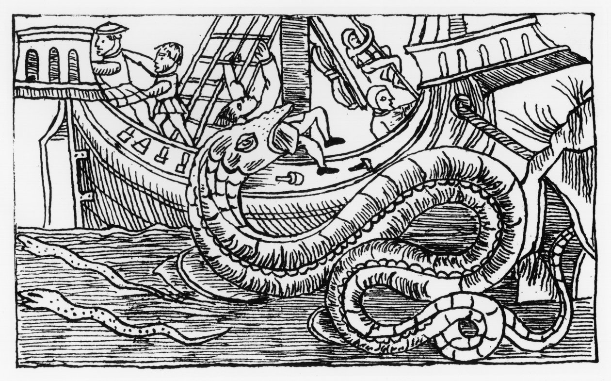 Olaus Magnus