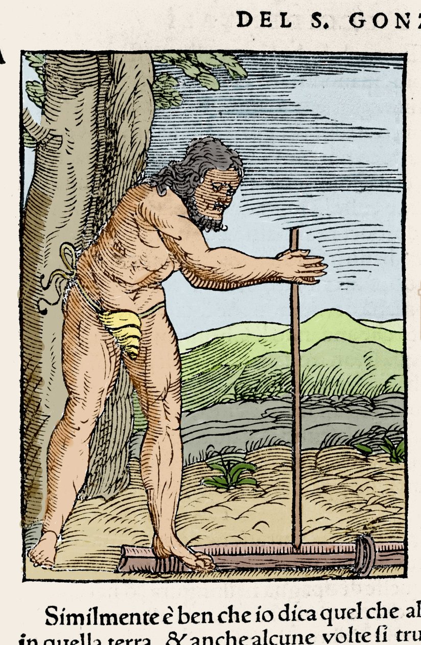 Yerli bir adam iki odun parçasını birbirine sürterek ateş yakıyor. Giovanni Battista Ramusio (1485-1557), vol. III, Venedik 1565. by Italian School