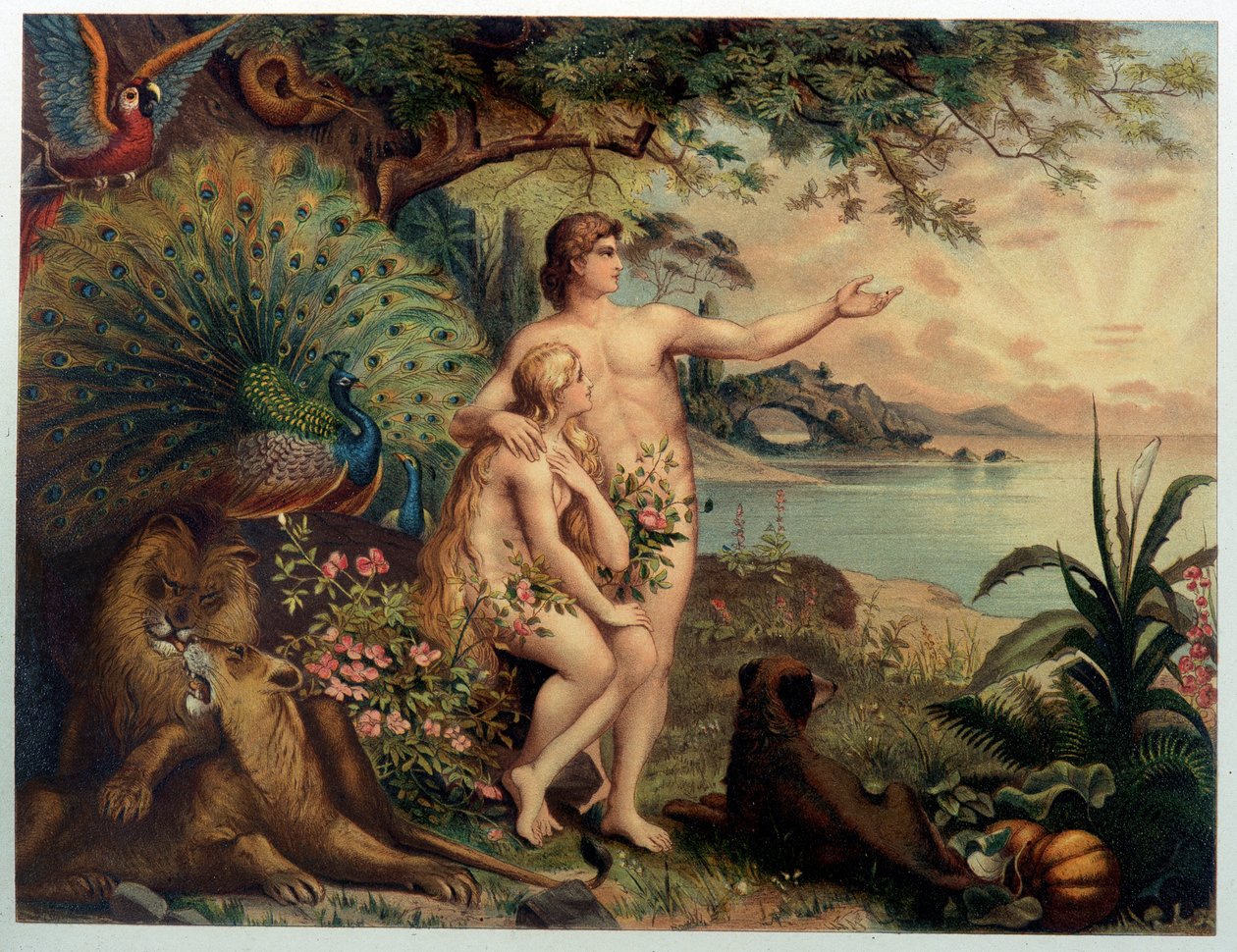 Adem ve Havva au Paradise dünyevi (Eden) - Don Clemente Benetti tarafından çevrilen Giovanni Ladislao Sykora (cilt 1) tarafından “” Altın klasik İncil: eski ve yeni çabalarda ilahi vahiy tarihi ”” ”de. (İtalyanca İncil) by Italian School