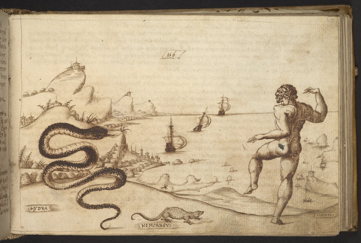 Ekle. 82955, f.115 Yılan (