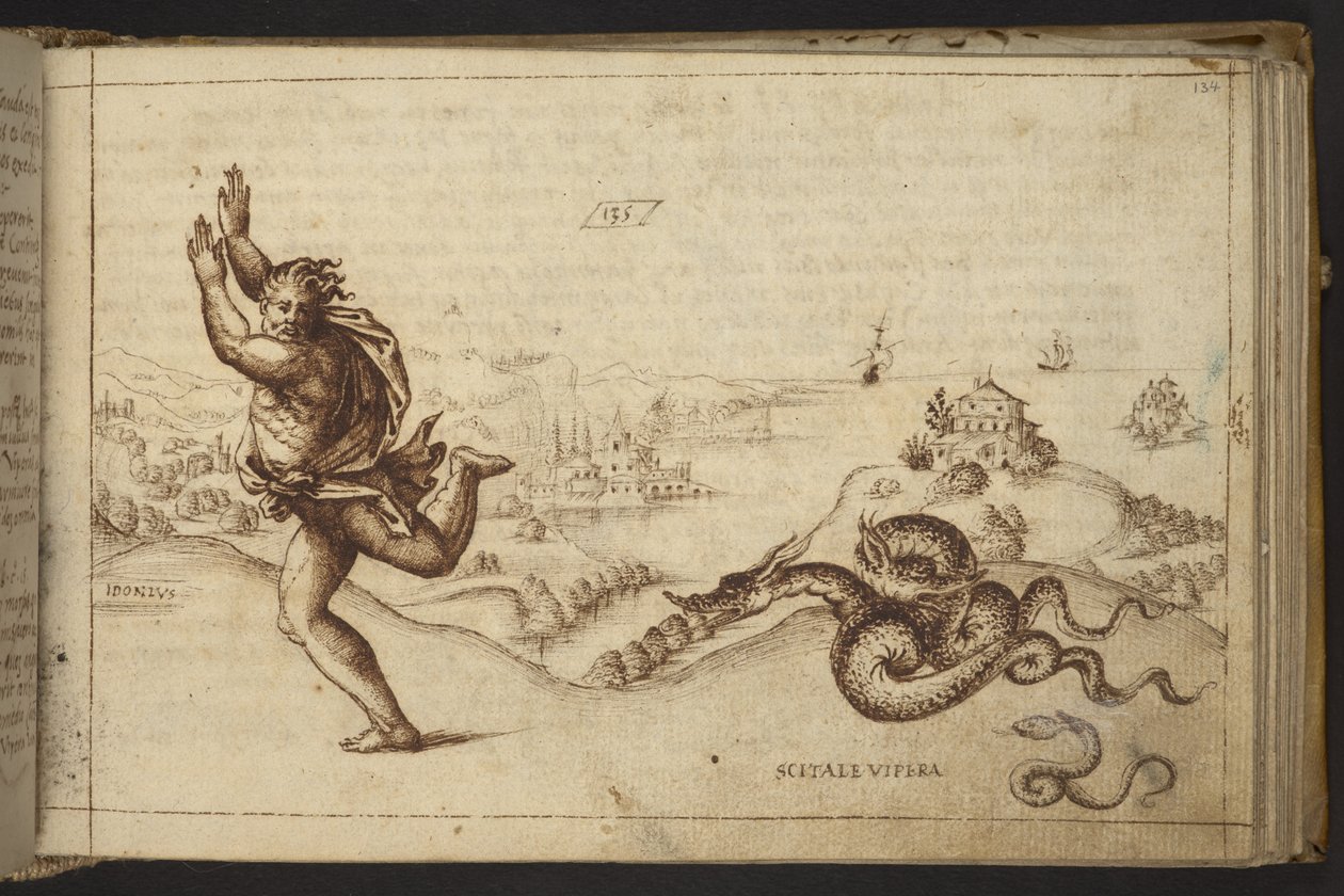 Ekle. 82955, f.134 Yılanların kovaladığı insan figürü, Historia Animalium