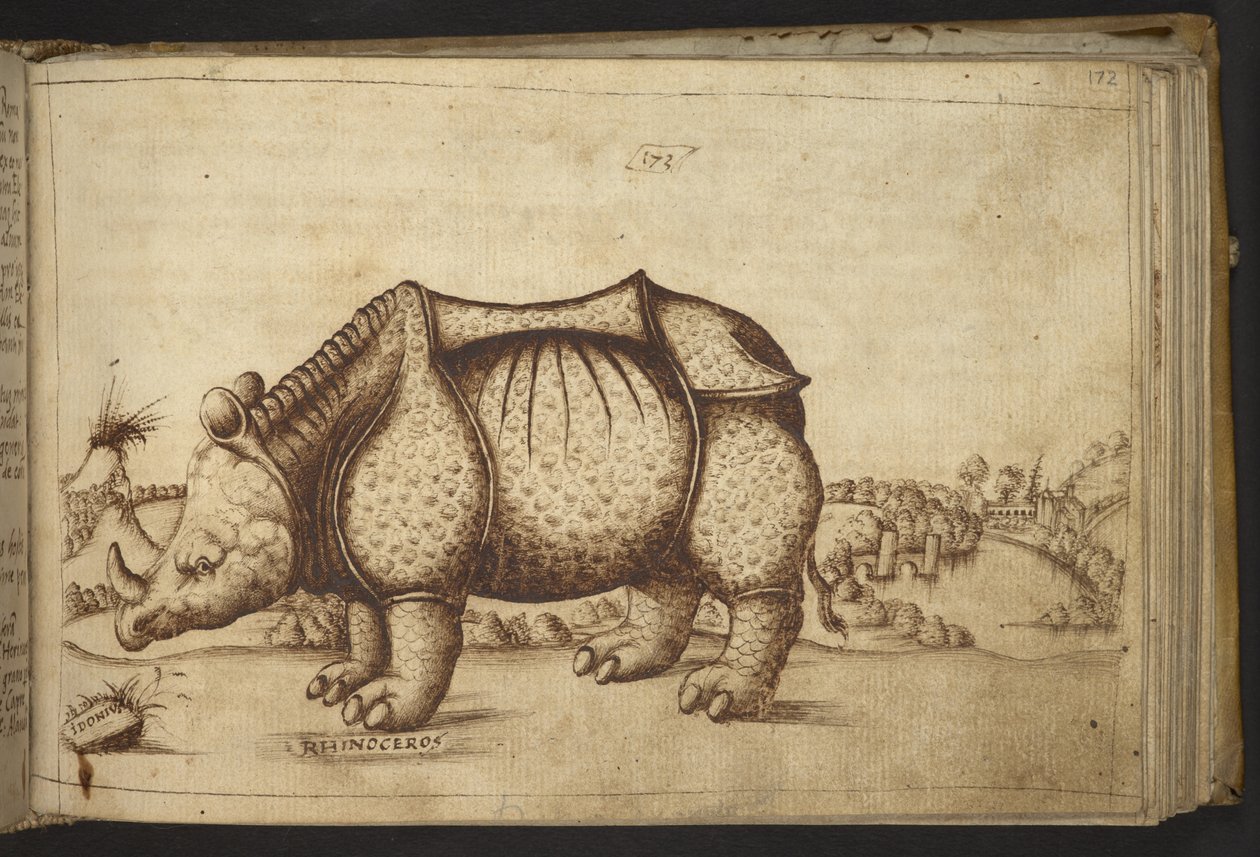 Ekle. 82955, f.172 Gergedan., Hayvanların Tarihinden by Italian School