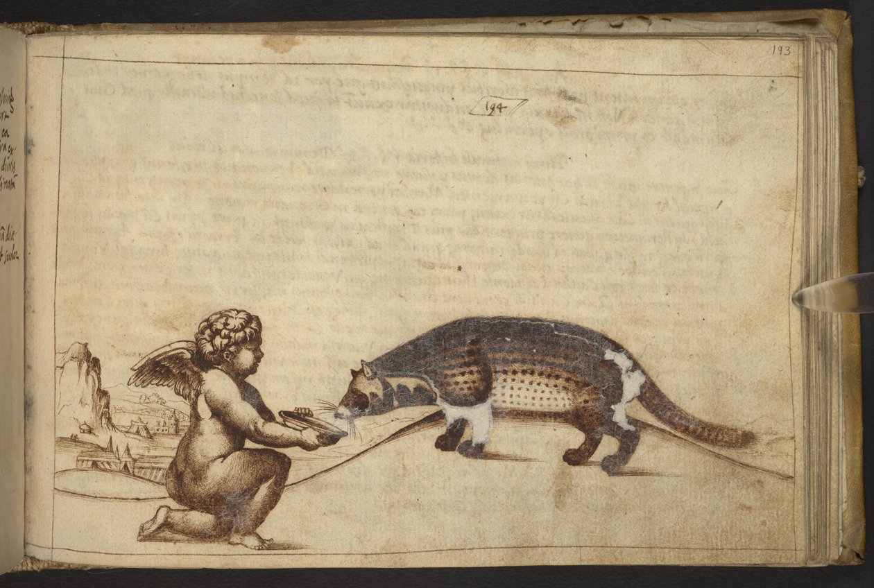Ekle. 82955, f.193   Cherub ve bir yaratık.  , Historia Animalium
