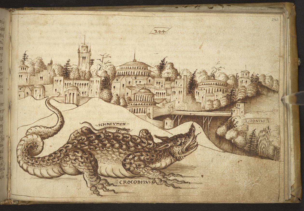 Ekle. 82955, f.243 Bir timsah (