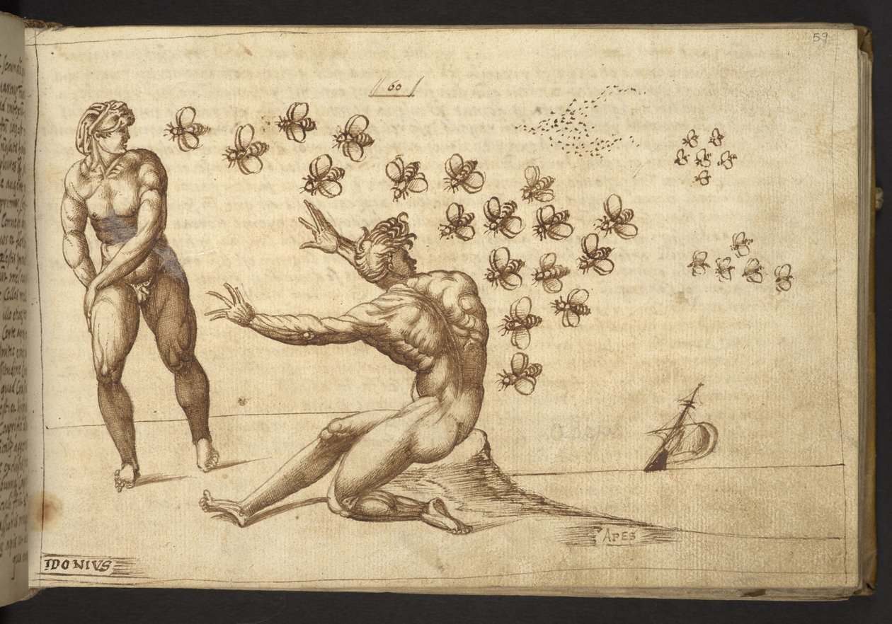 Ekle. 82955, f.59 Arılar (