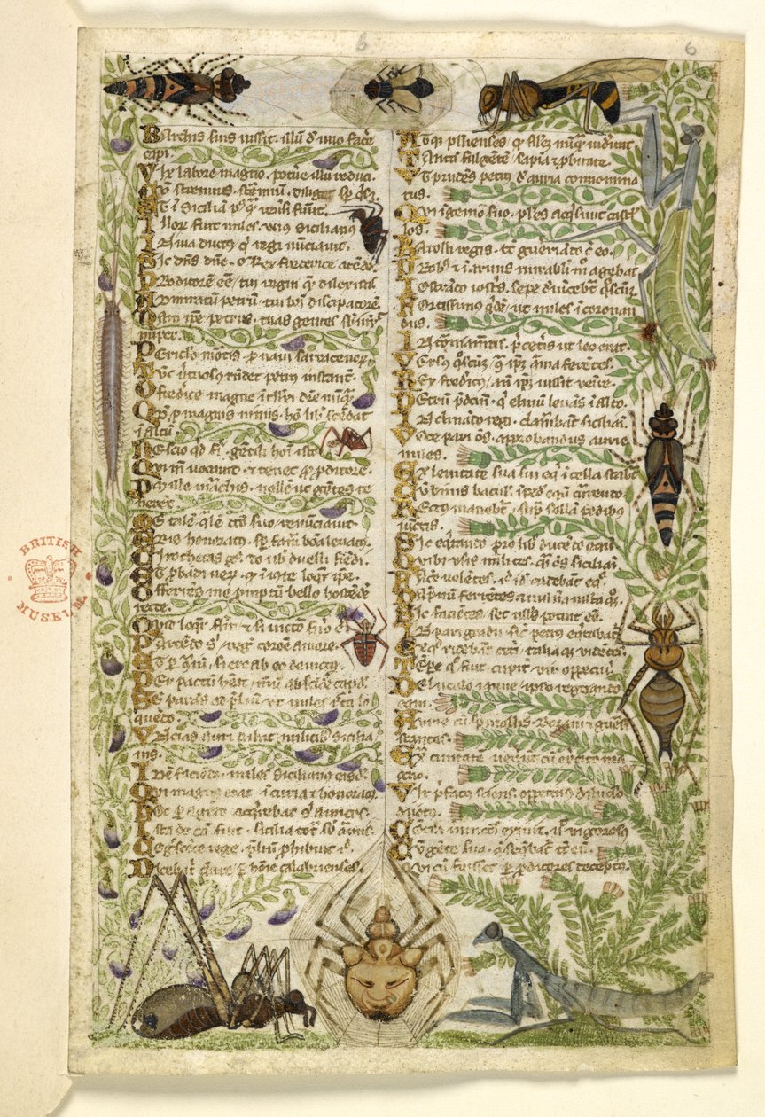 Ekle MS 28841 f.006r Yedi Kötülük üzerine bir düzyazı incelemesinden ve II. Frederick döneminde Sicilya tarihinden olaylar hakkında bir ayetten yapraklar, Cocharelli tarafından, c.1330-40 by Italian School