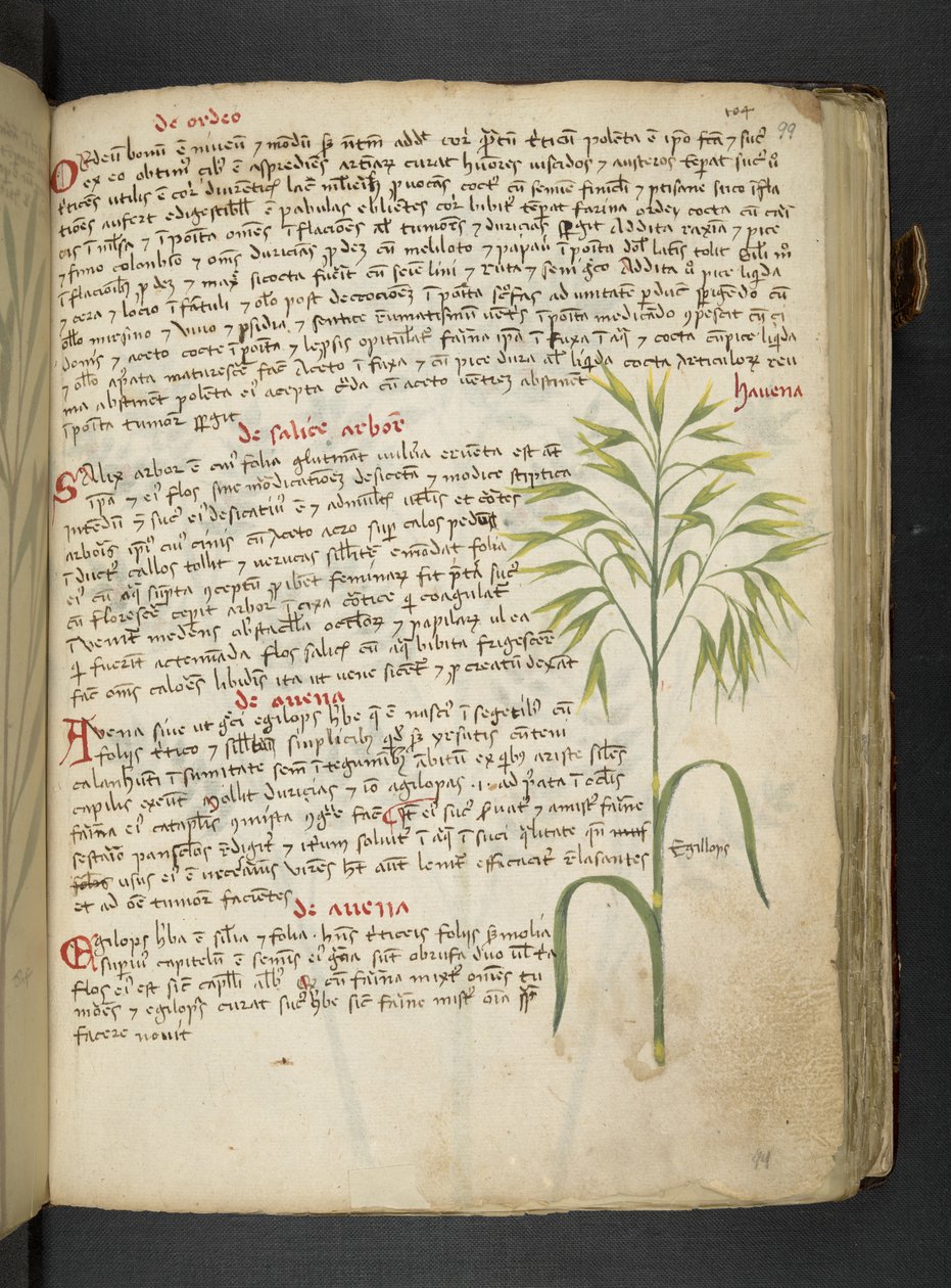 MS 41623 