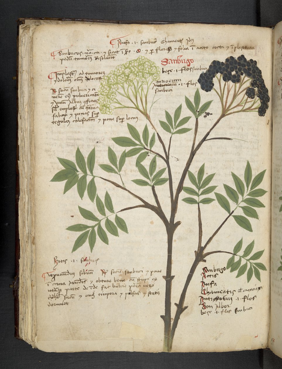 MS 41623 f.72v 