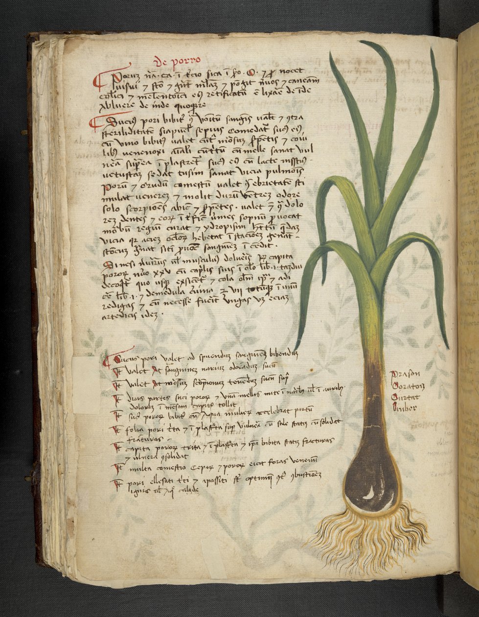 MS 41623 f.87v De Porro 