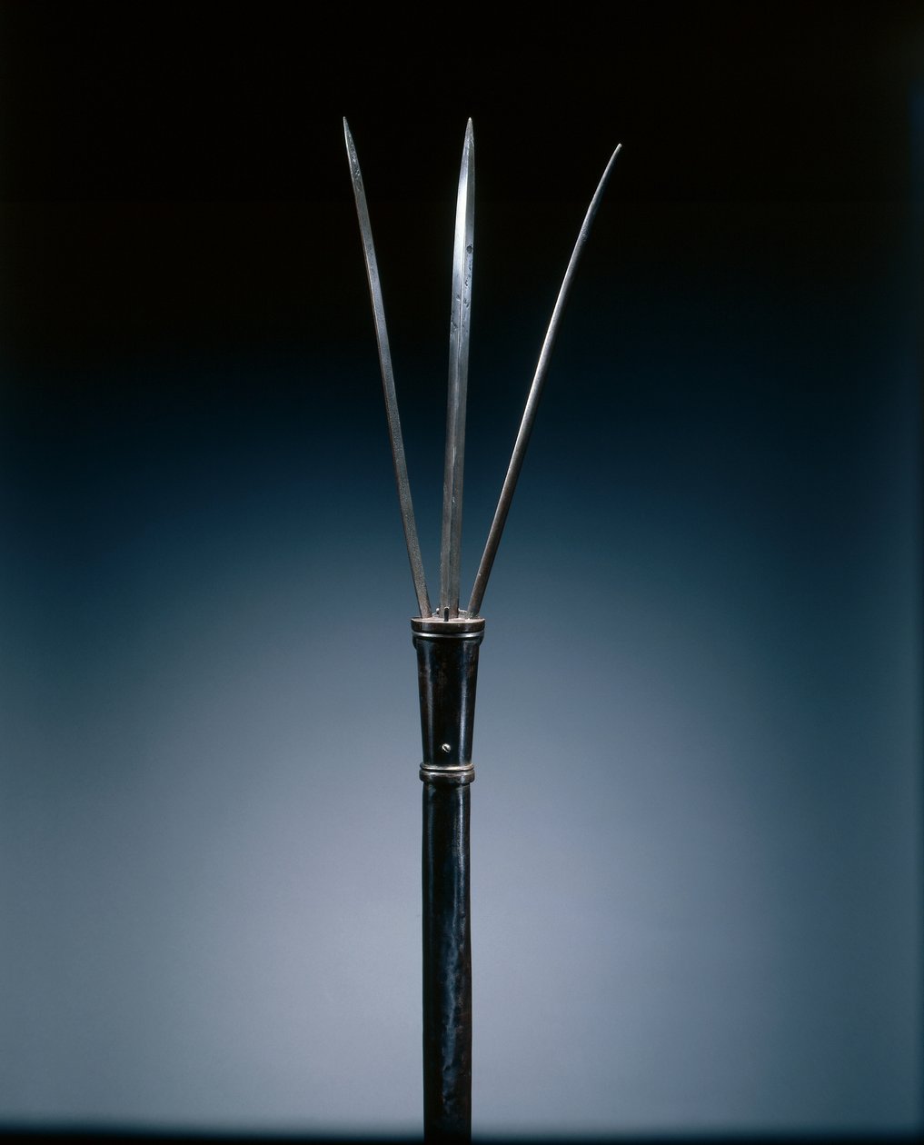 Brandistock by Italian School