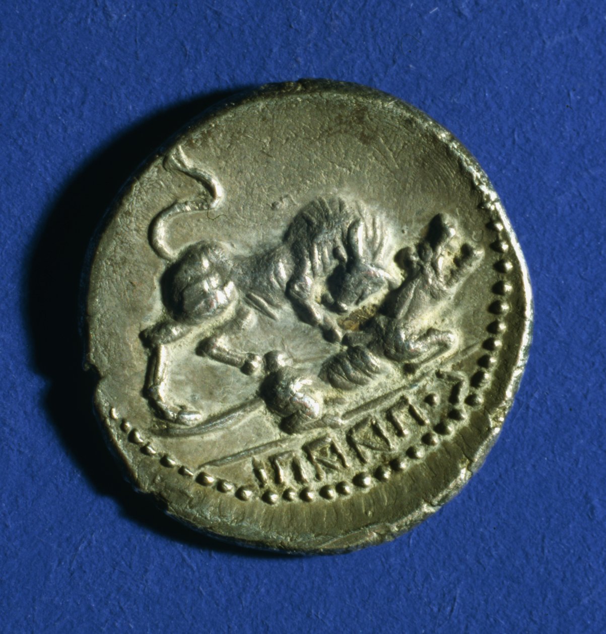 Roma dişi kurduna saldıran bir boğayı gösteren İtalik Kabilelerin Sikkesi, MÖ 89-90 (gümüş) by Italian School