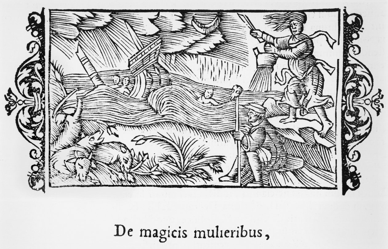 Büyülü kadınlar üzerine, Olaus Magnus