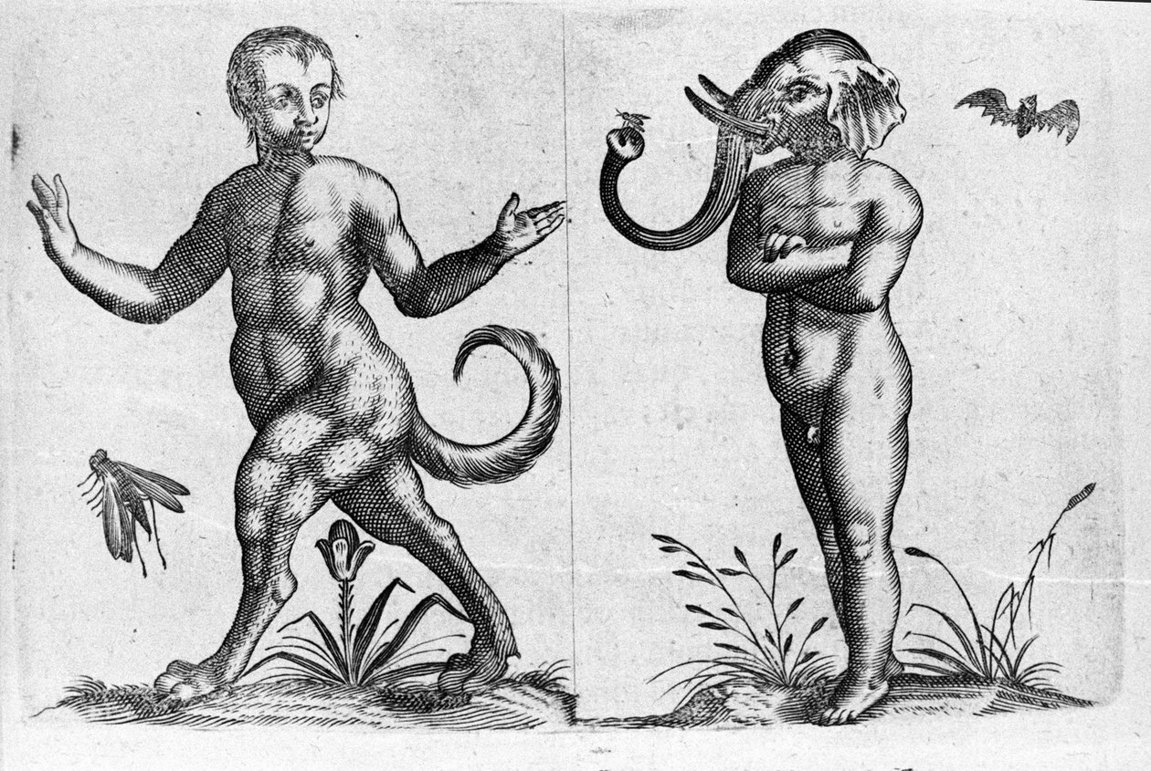 Farklı insan canavar türleri: hayvan bacaklı bir adam ve fil başlı bir adam. İtalyan bilim adamı Fortunio Liceti (1577-1656) tarafından "De monstrorum natura, causis et Differentiis" adlı gravür. 1646 by Italian School