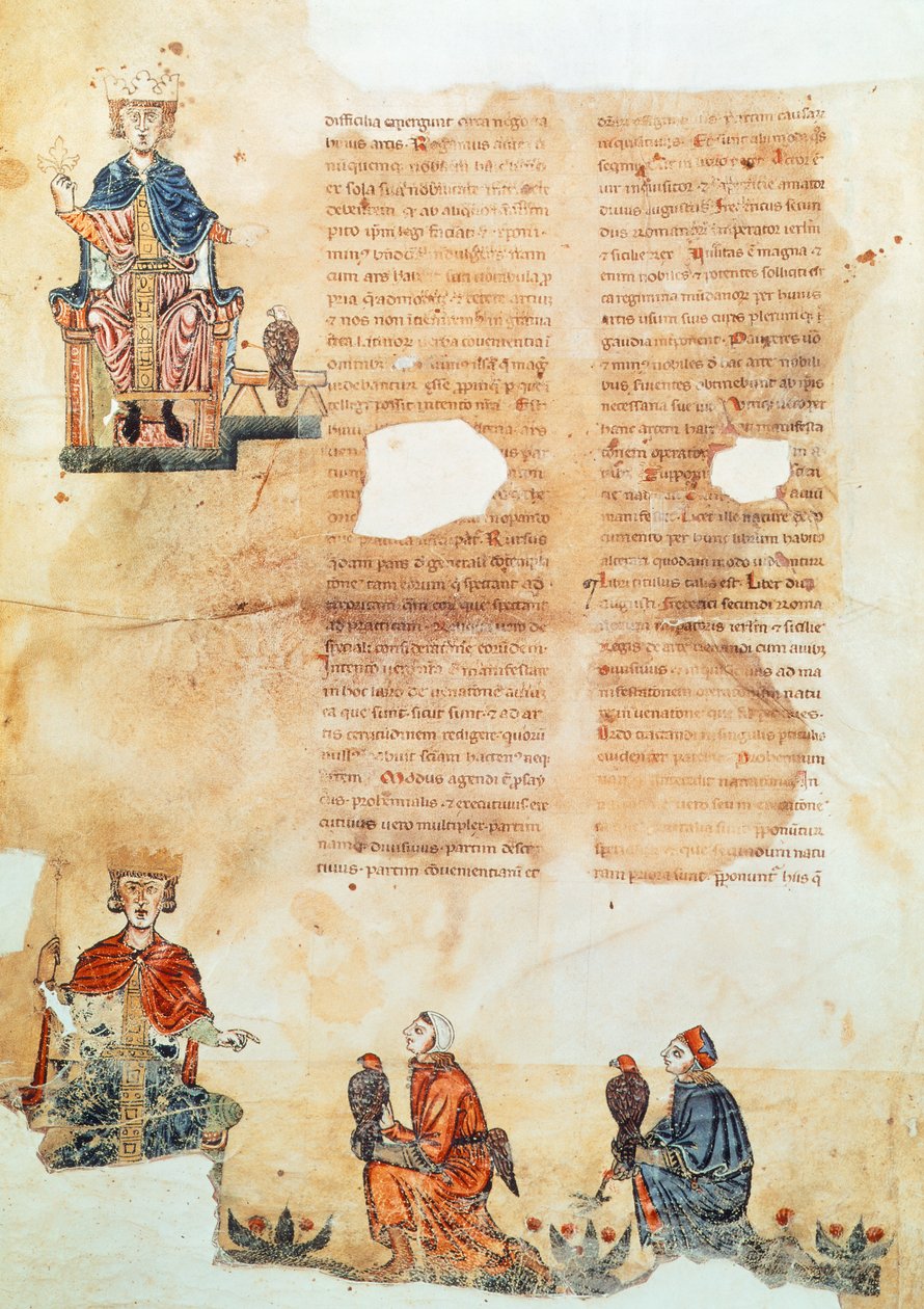 Hohenstaufend İmparatoru Frederick 2, "Kuşlarla Avlanma Sanatı"ndan (parşömen) by Italian School