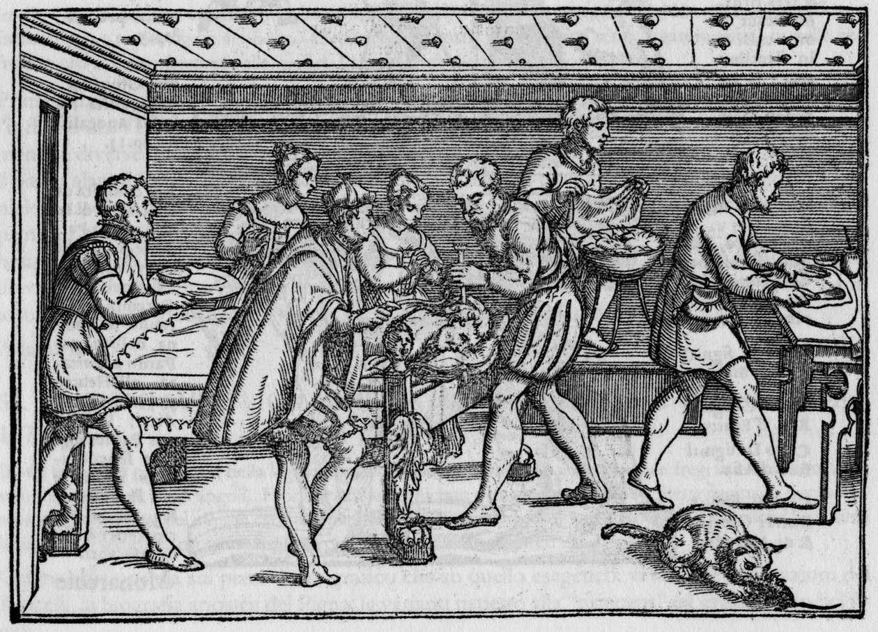 İtalyan cerrah Giovanni Andrea dalla Croce tarafından "" Della Cirurgia "" "(Ameliyatta) içinde 1574 gravürü. by Italian School