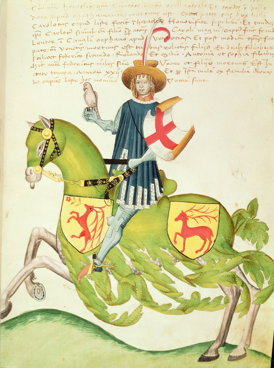 Falconer, 