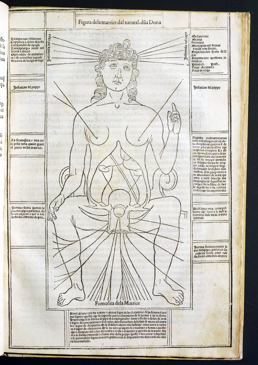 Johannes de Ketham (d.c.1490) tarafından Fasciculus Medicinae