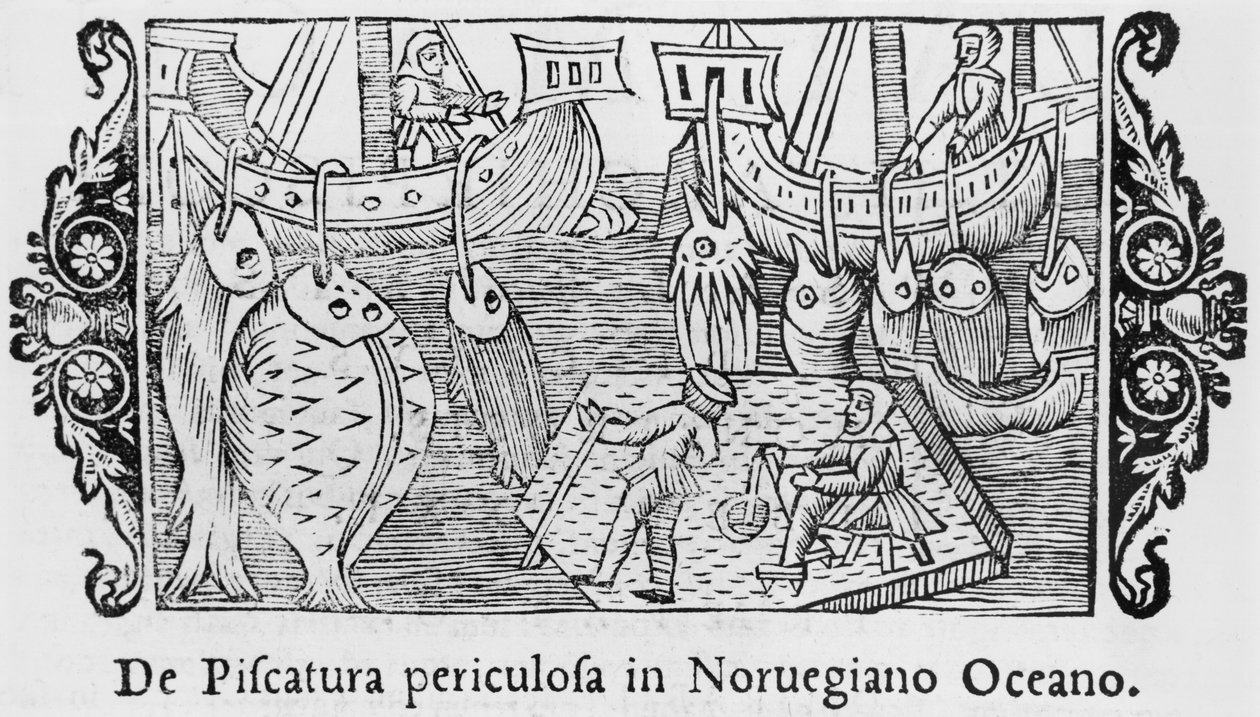 Norveç Okyanusunda Balık Tutma, Olaus Magnus