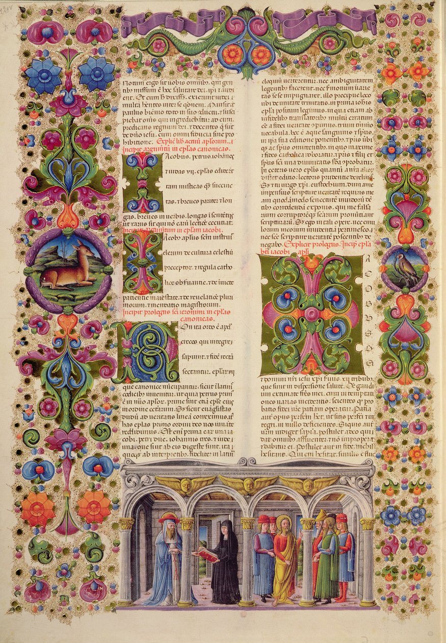 Fol.229 Borso d