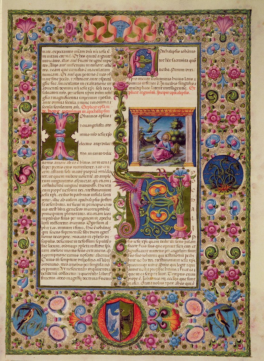 Fol.236r Borso d