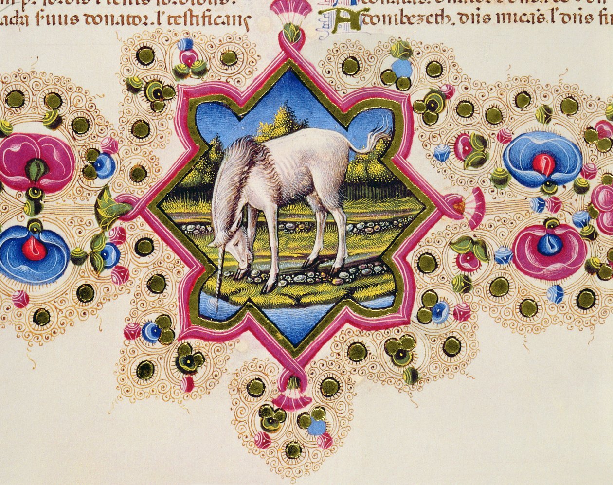 Fol.245V Borso d