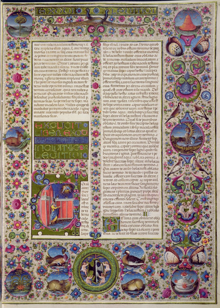 Fol.44r Borso d
