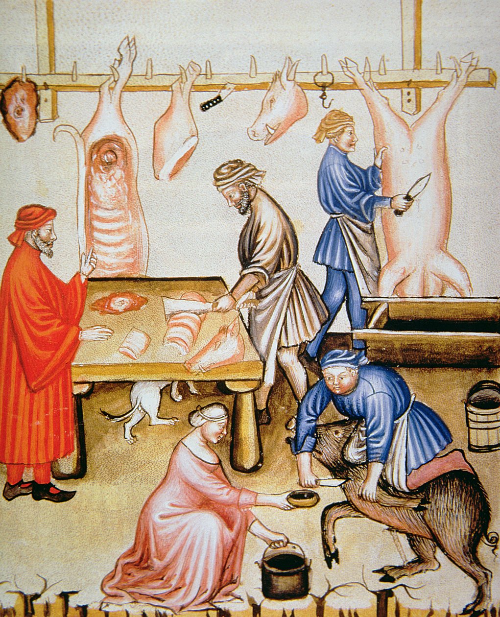 Fol.74v Kasaplar: Domuz Eti, Tacuinum Santiatis Codex Vindobonensis