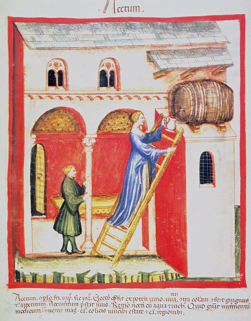 Fol.85v Sirke, Tacuinum Santiatis Codex Vindobonensis