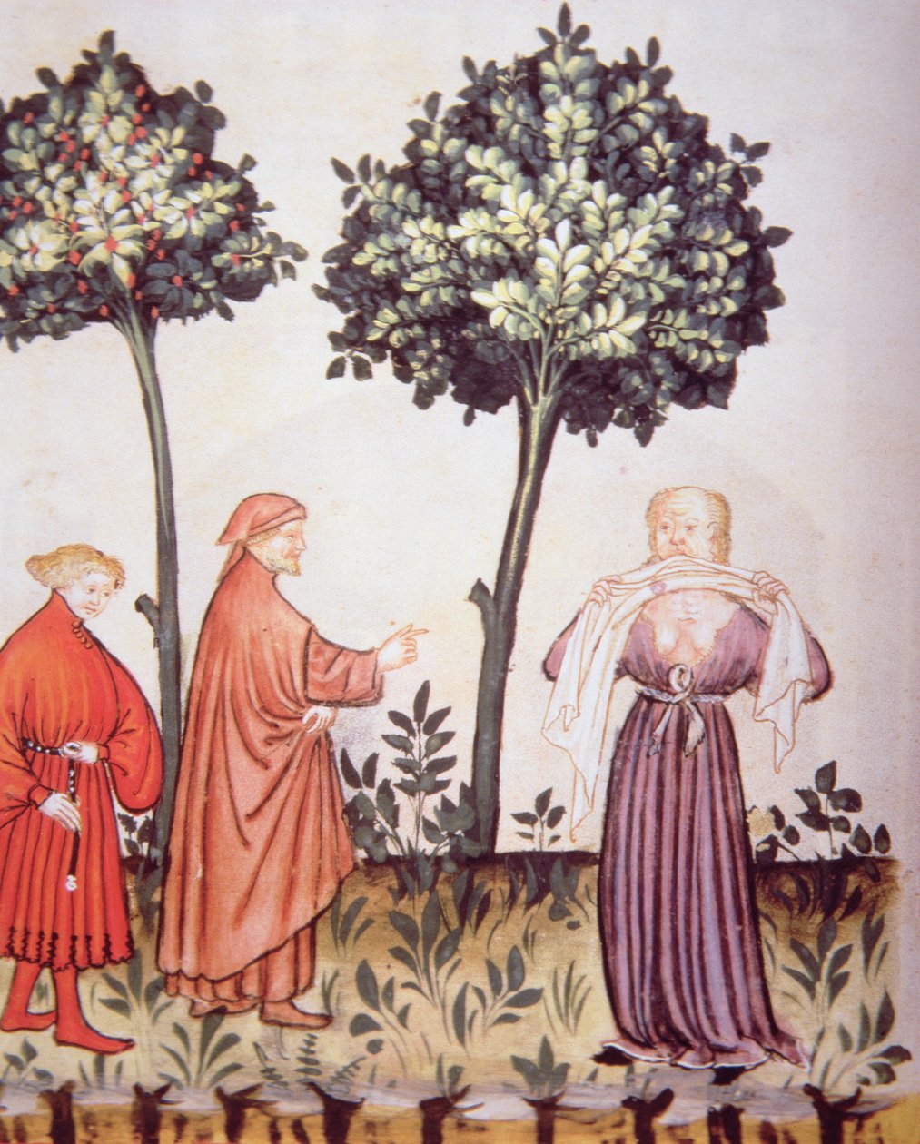 Fol.98v Kolera, Tacuinum Santiatis Codex Vindobonensis