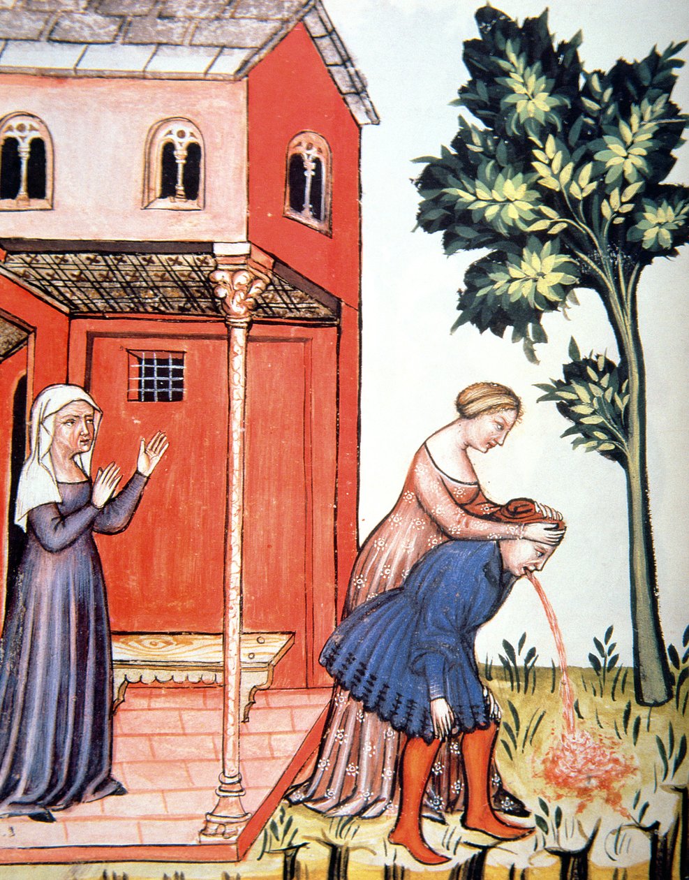 Fol.99v Kusma, Tacuinum Santiatis Codex Vindobonensis