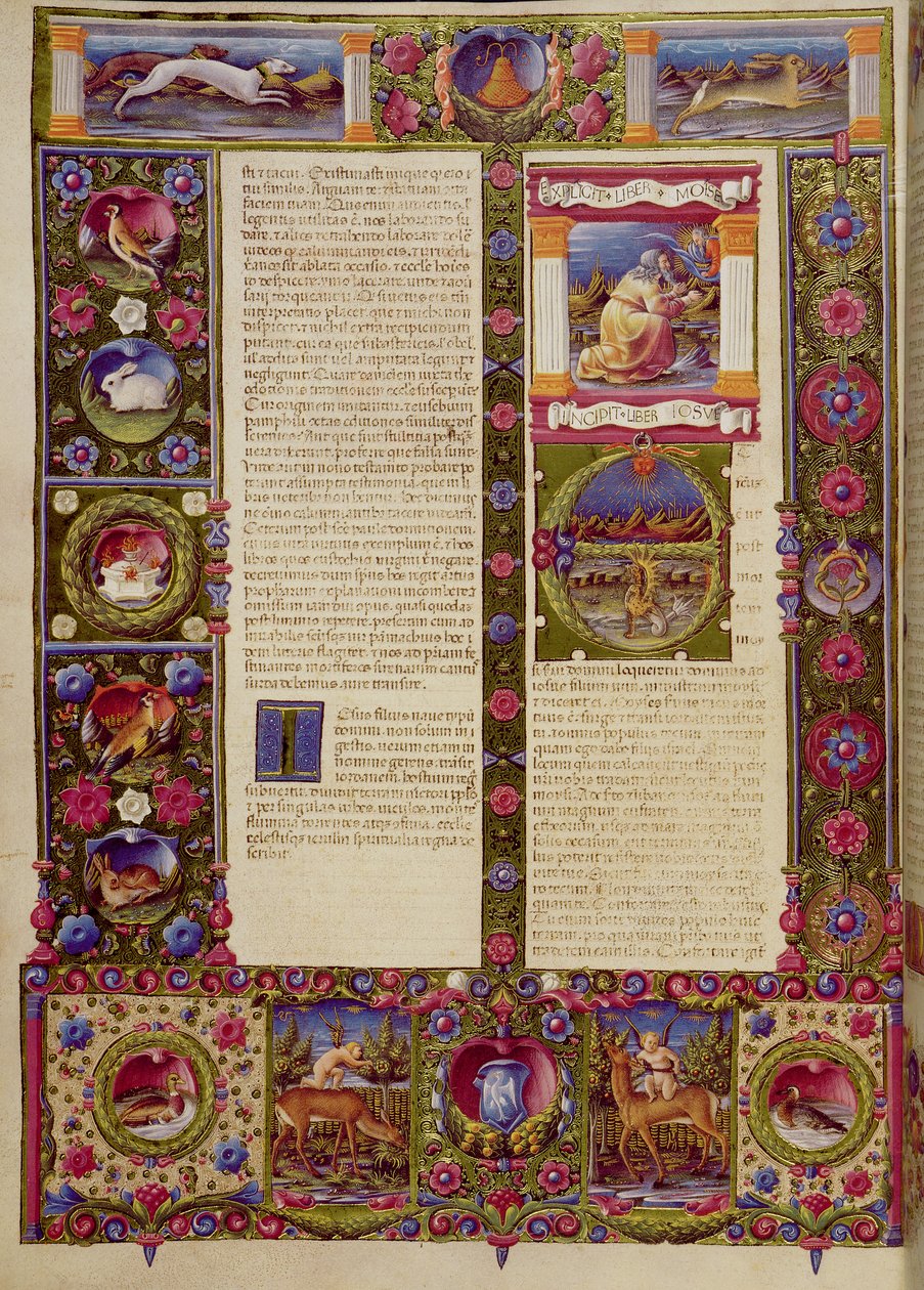fol. Borso d