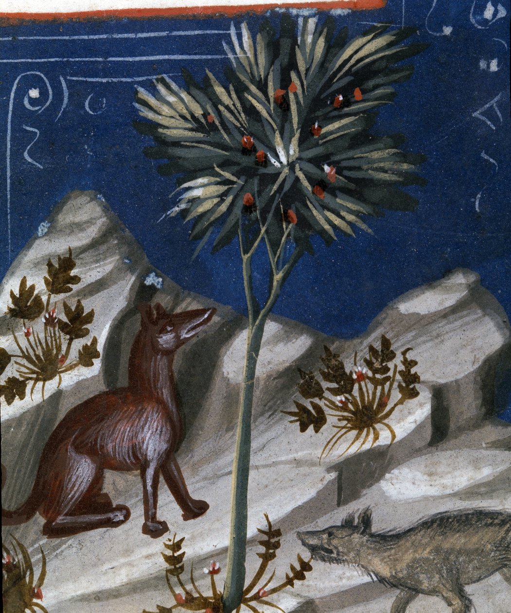 Tilki ve kurt, "Codex Justianus"tan bir çizim, 1350 by Italian School