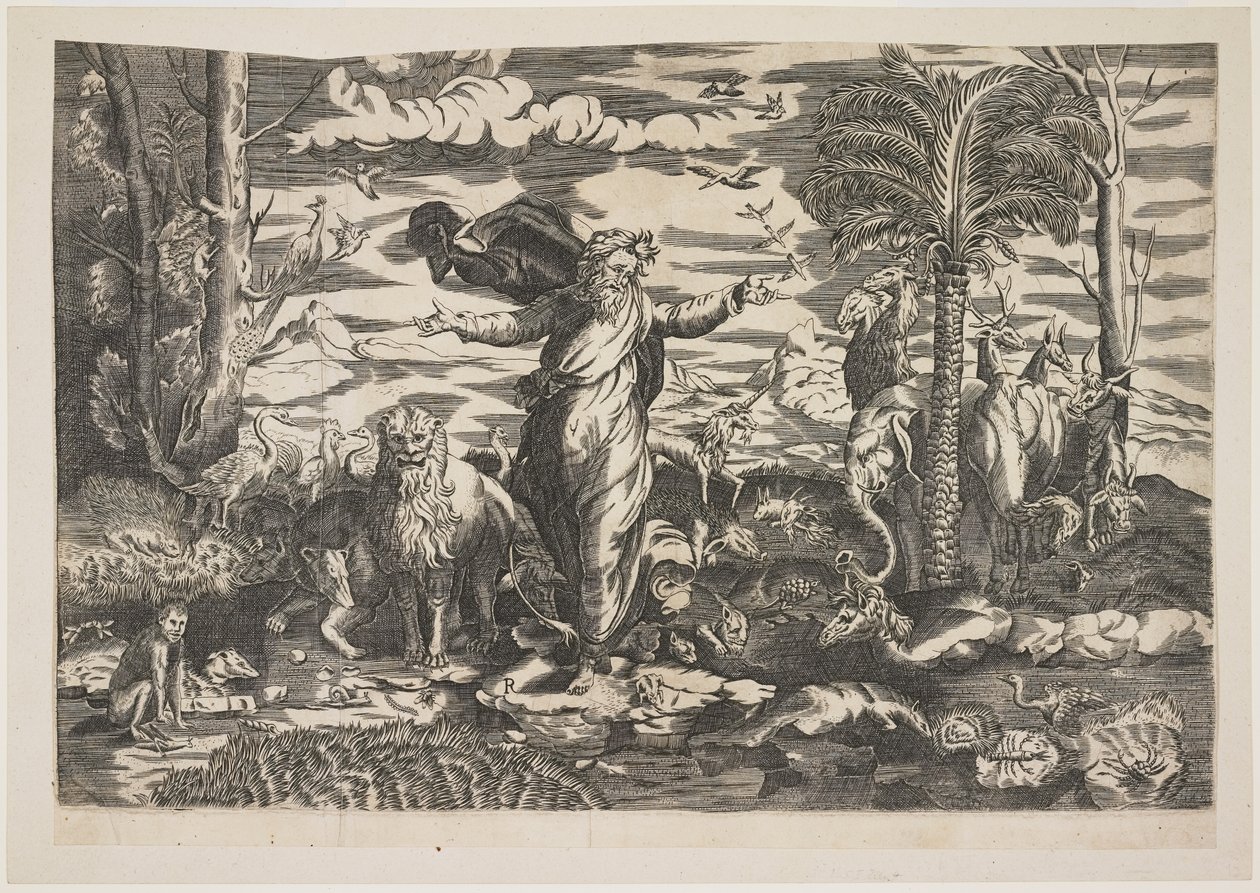 Hayvanları Yaratan Tanrı, c.1550 by Italian School