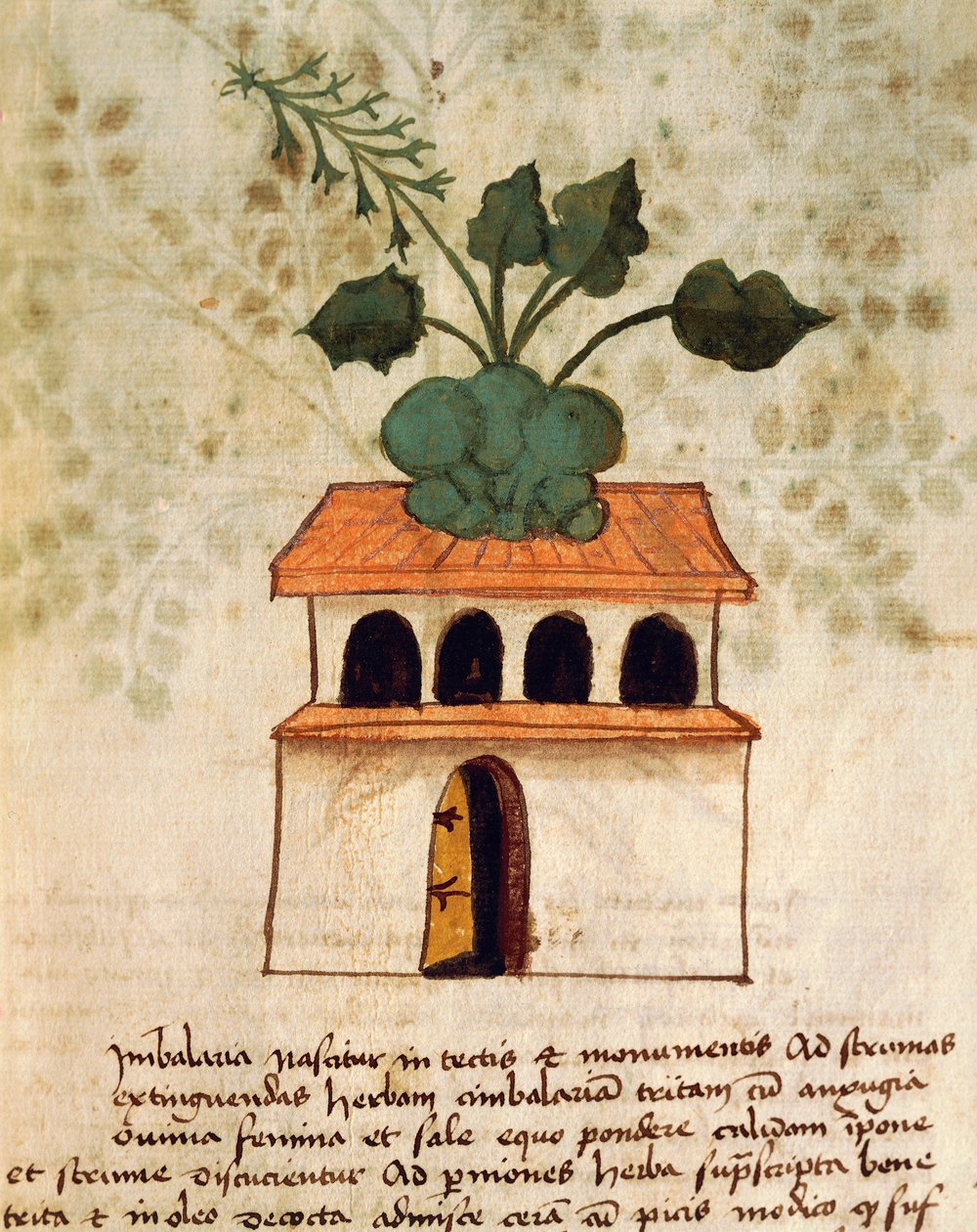 Asmabahçe by Italian School
