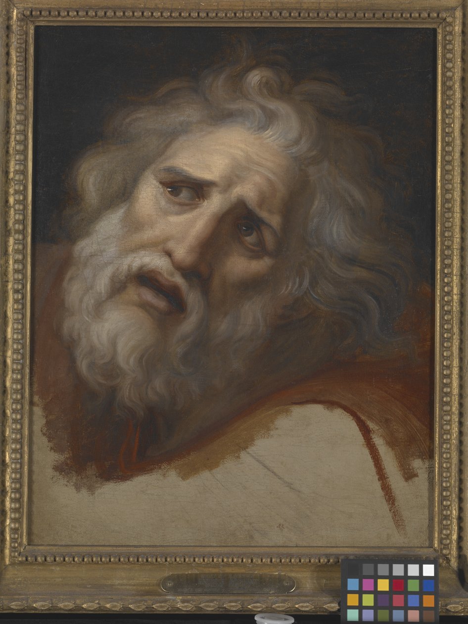 Laocoon'un Başı (tuval üzerine yağlıboya) by Italian School