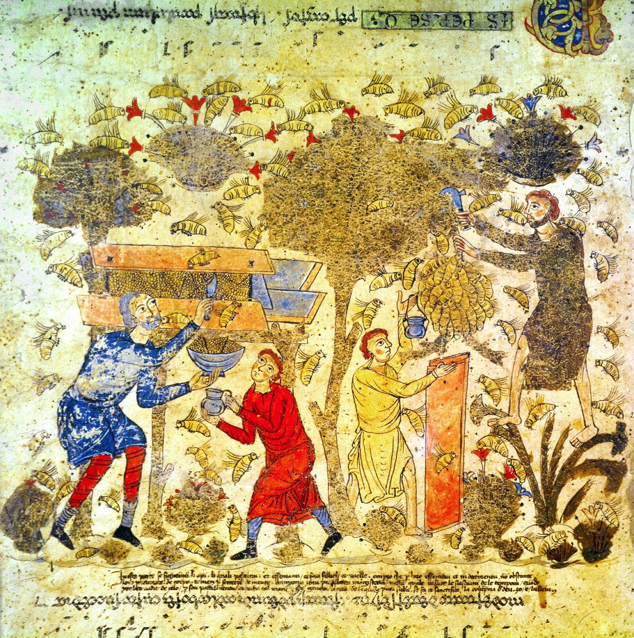 12. yüzyılda İtalya'da bal hasadı by Italian School