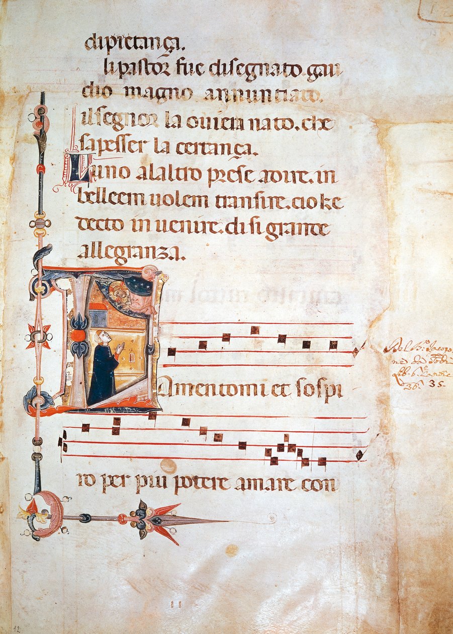 Todi