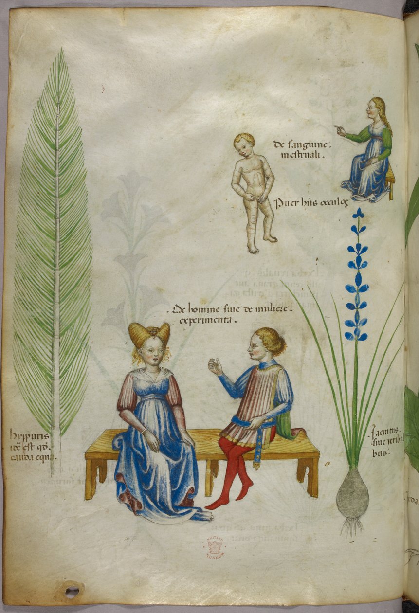 Atkuyruğu [hyppuris] ve iris [ jacintus] illüstrasyonu; insan cinselliğinin yönlerini temsil eden figürler, c.1440 (parşömen üzerine mürekkep ve renk) by Italian School