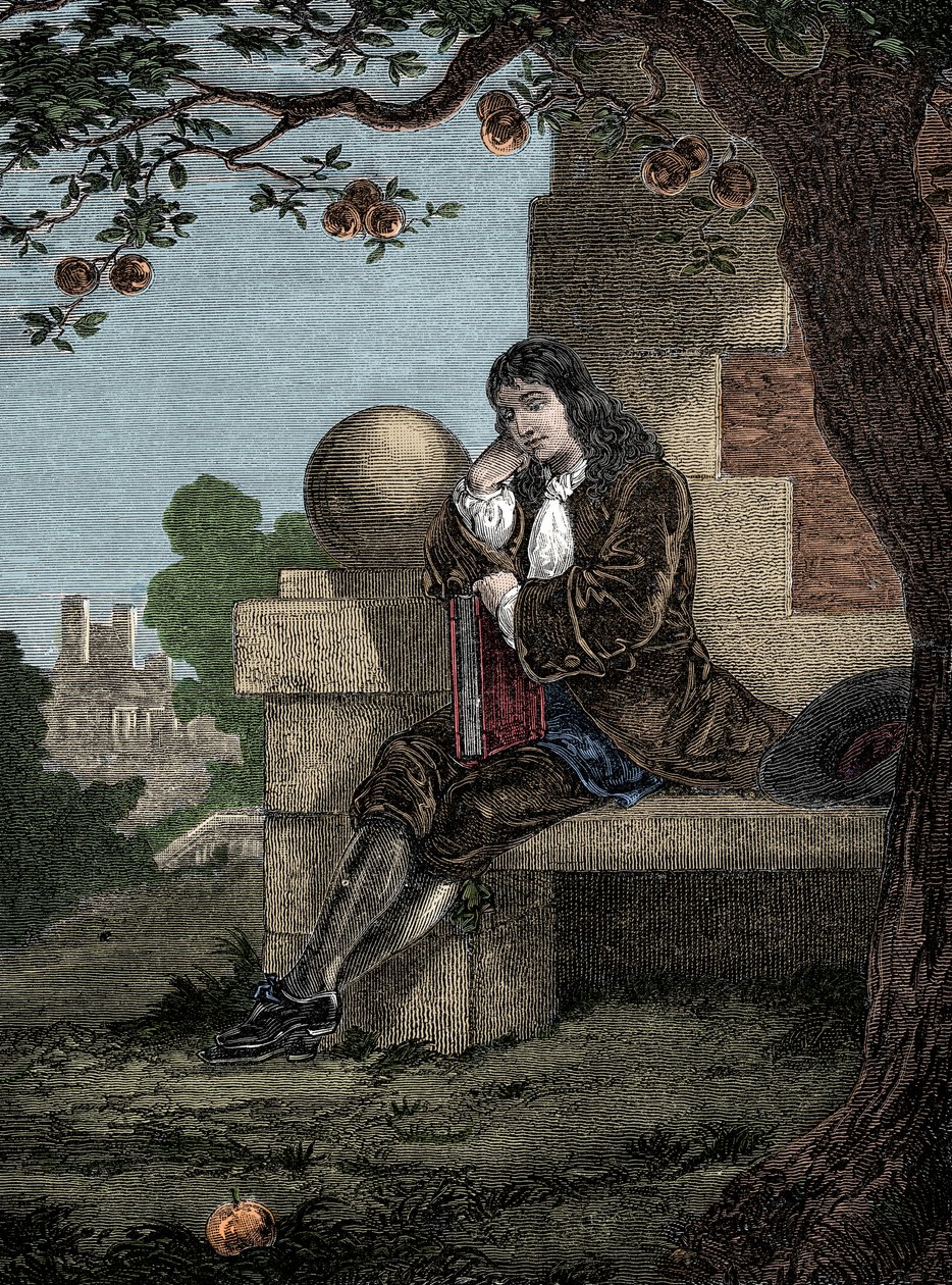 Isaac Newton, bir ağacın altında otururken bir elmanın yere düştüğünü gözlemler. by Italian School
