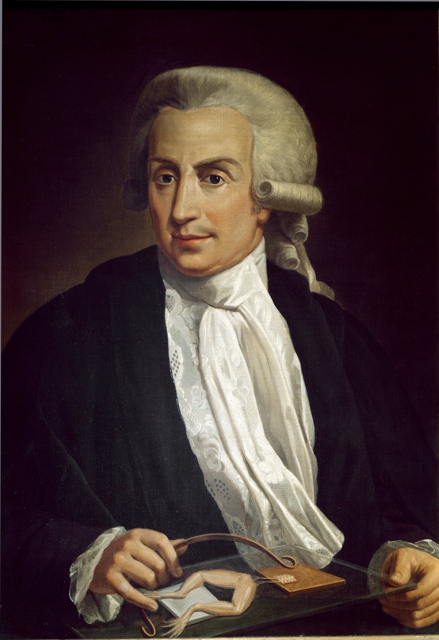Luigi Galvani kurbağa örneği ile by Italian School